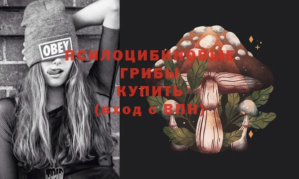 метадон Лабытнанги