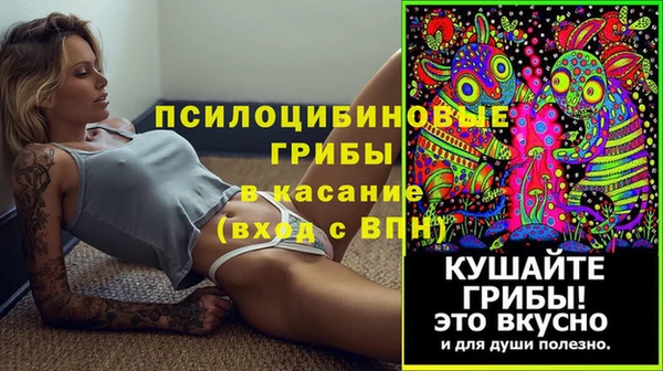 молекула духа Медногорск