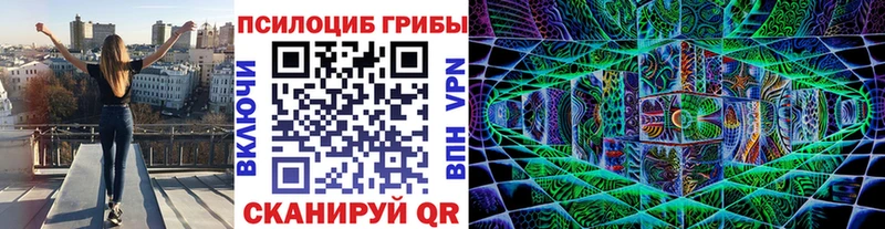 что такое наркотик  Сычёвка  MEGA маркетплейс  Псилоцибиновые грибы мицелий 